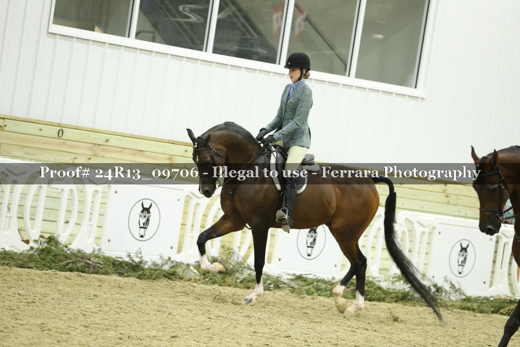 Proof 24R13_09706
