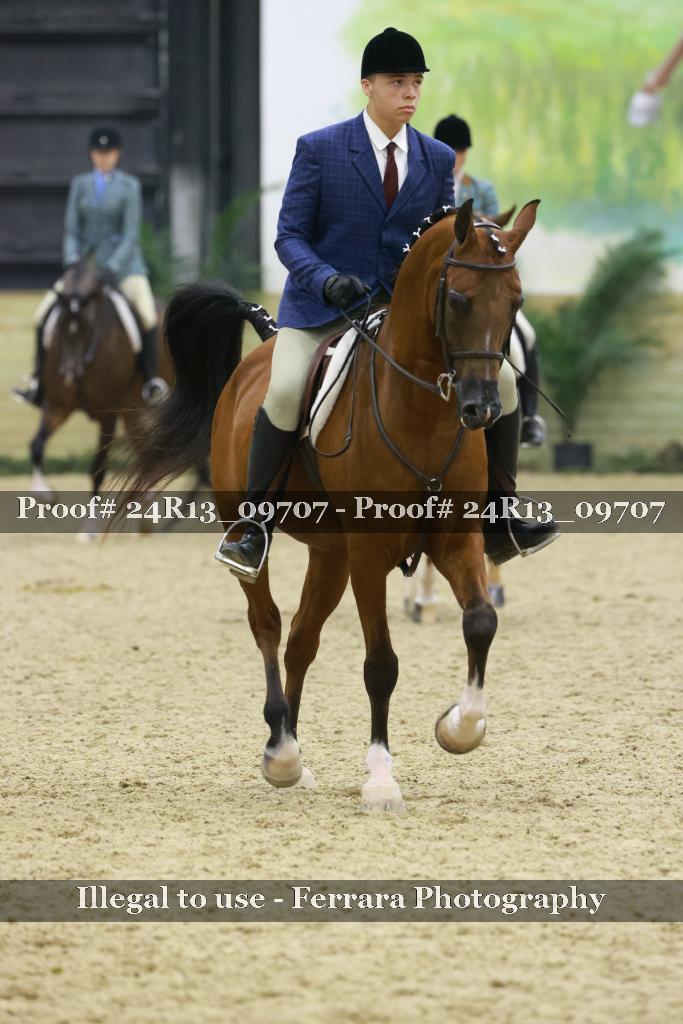 Proof 24R13_09707