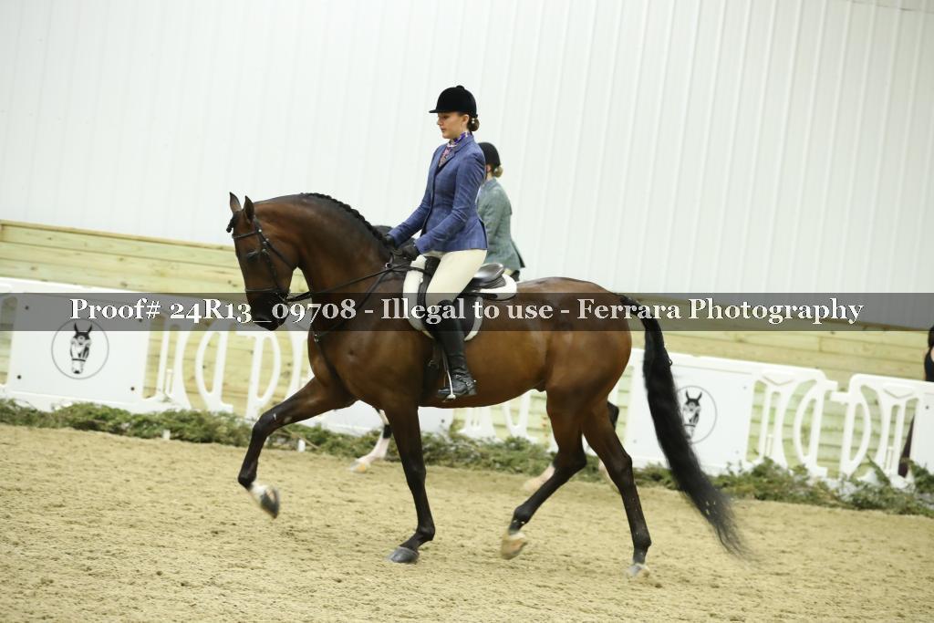 Proof 24R13_09708