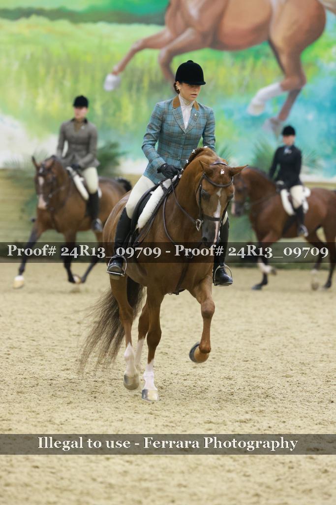 Proof 24R13_09709