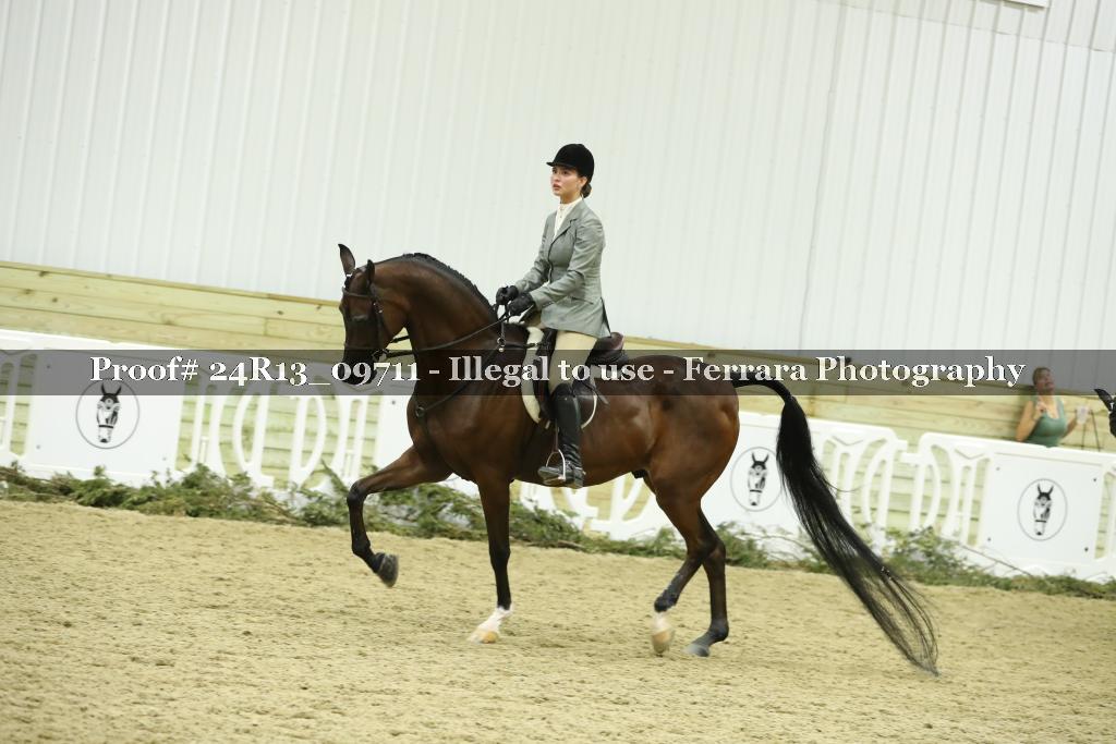 Proof 24R13_09711