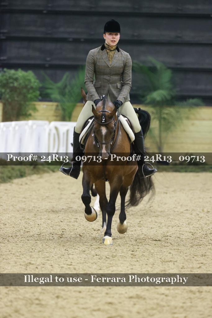 Proof 24R13_09713