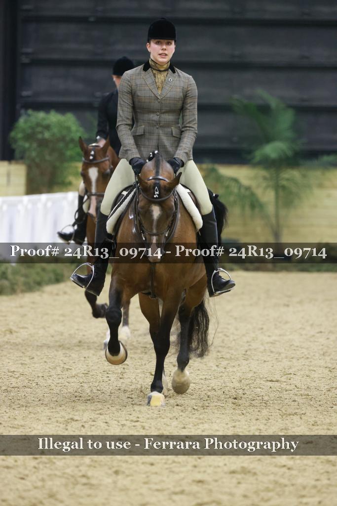 Proof 24R13_09714