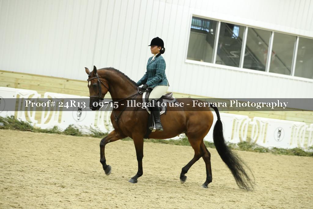 Proof 24R13_09715