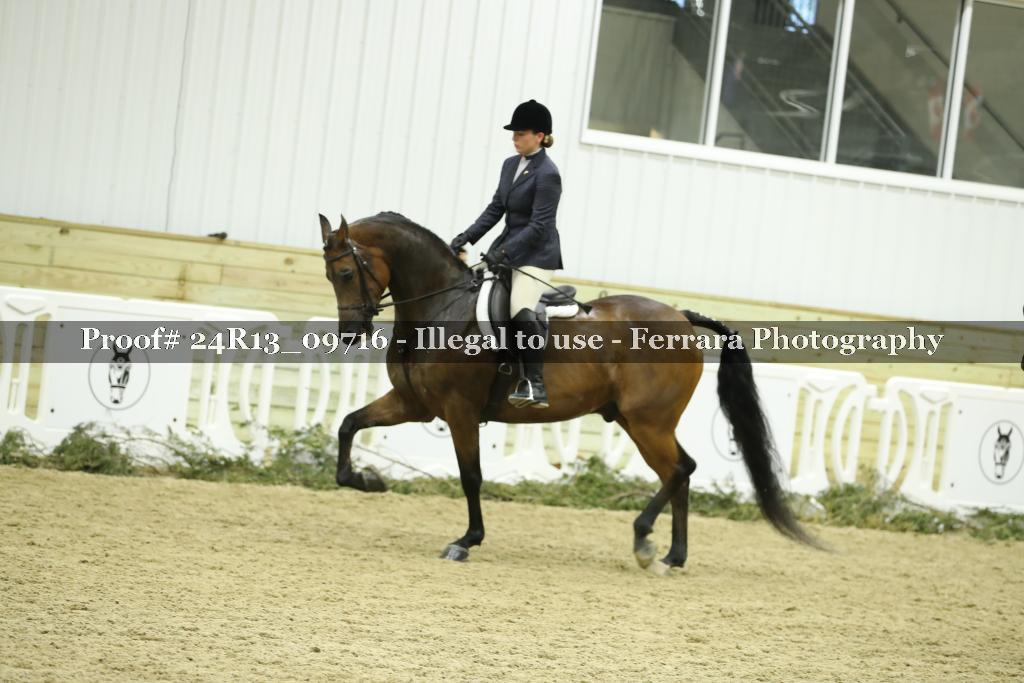 Proof 24R13_09716