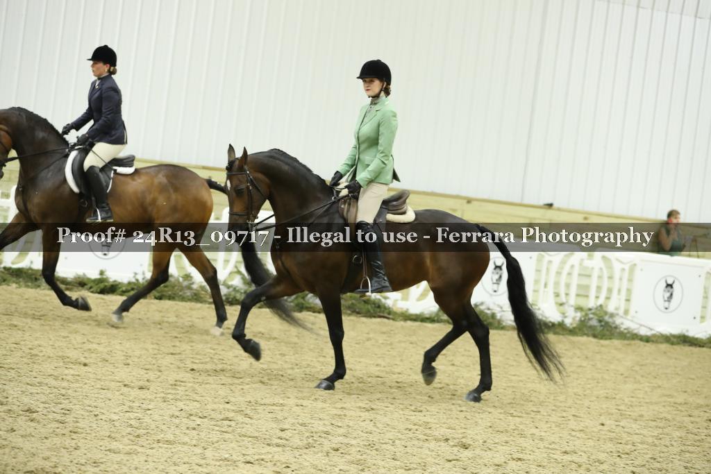 Proof 24R13_09717