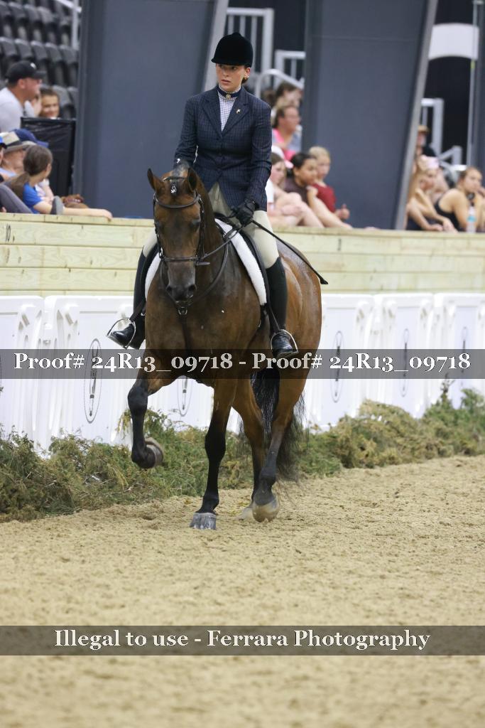 Proof 24R13_09718