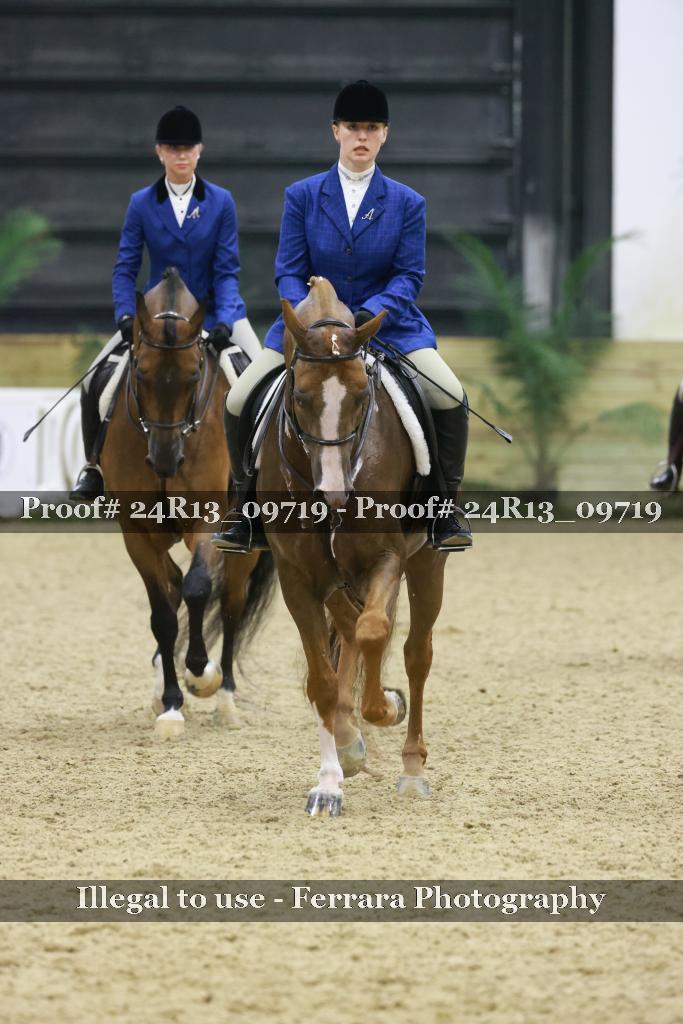 Proof 24R13_09719