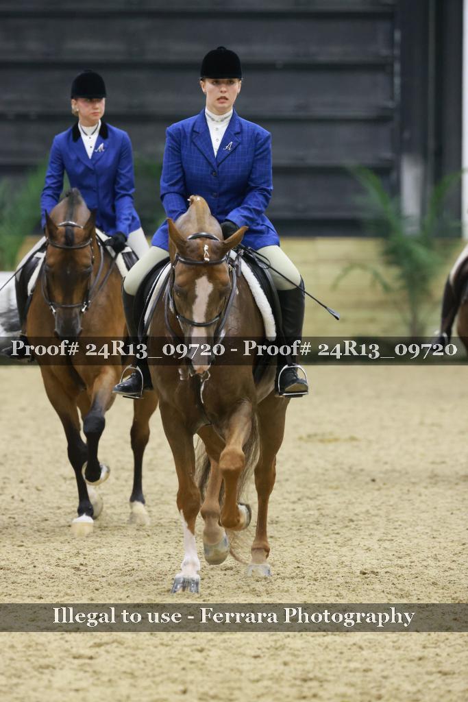 Proof 24R13_09720