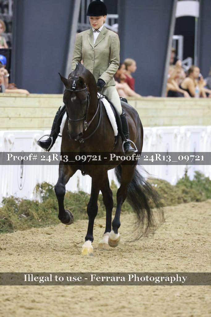 Proof 24R13_09721