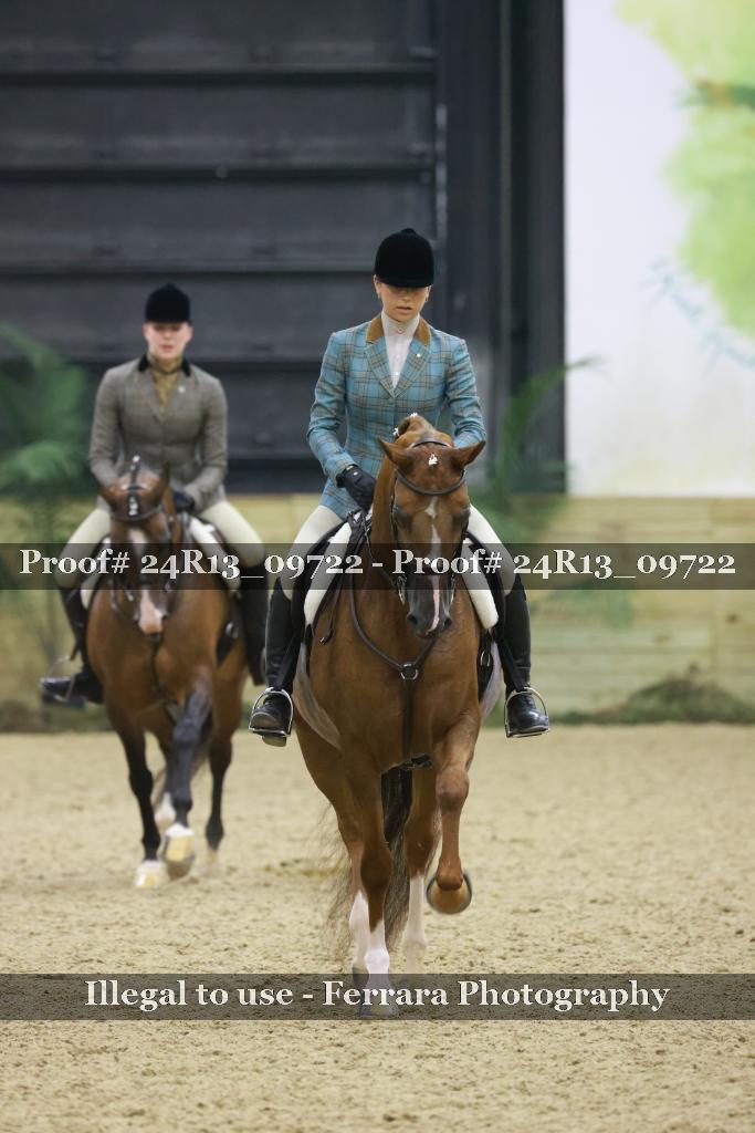 Proof 24R13_09722