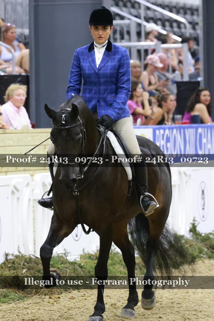 Proof 24R13_09723