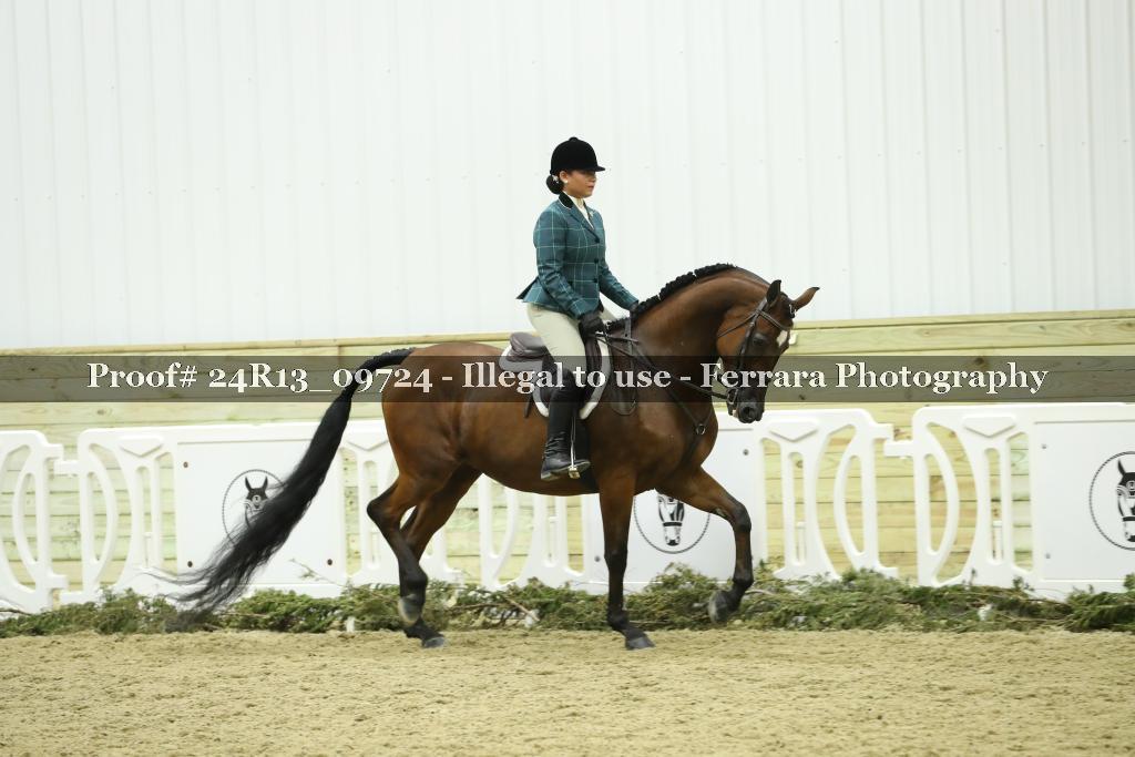 Proof 24R13_09724