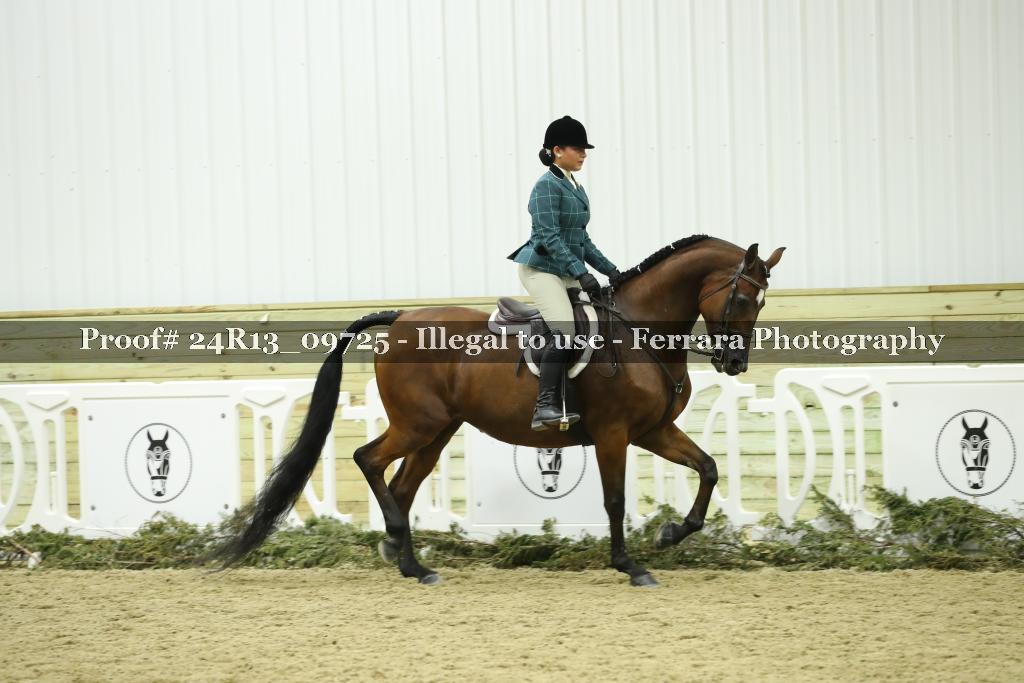 Proof 24R13_09725