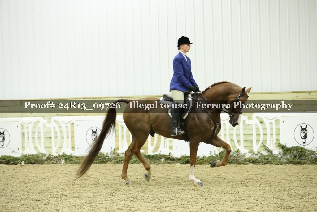 Proof 24R13_09726