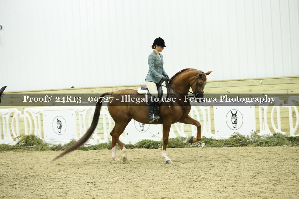 Proof 24R13_09727