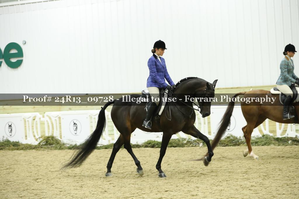 Proof 24R13_09728