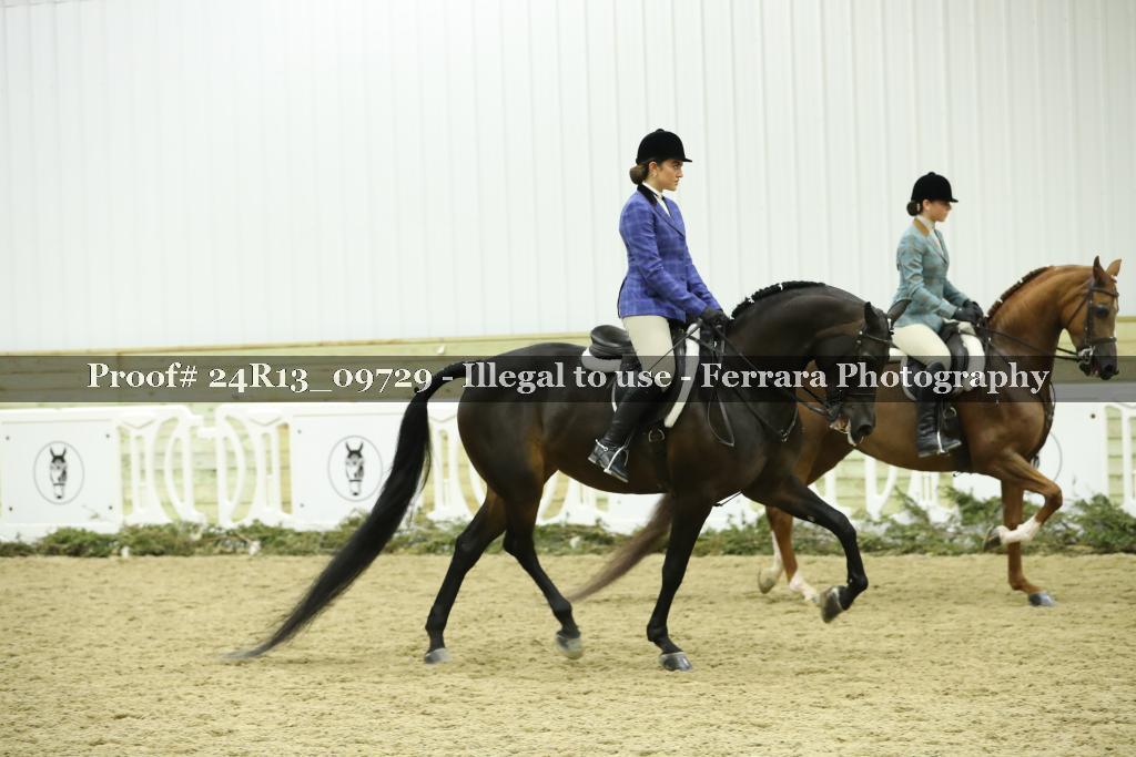 Proof 24R13_09729