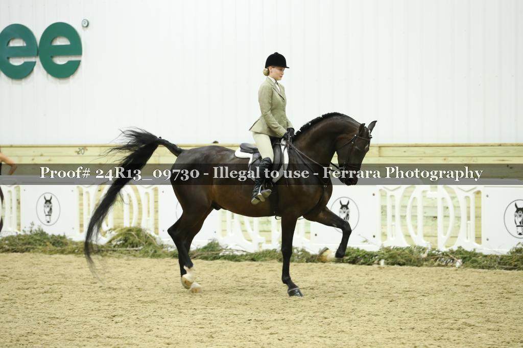 Proof 24R13_09730