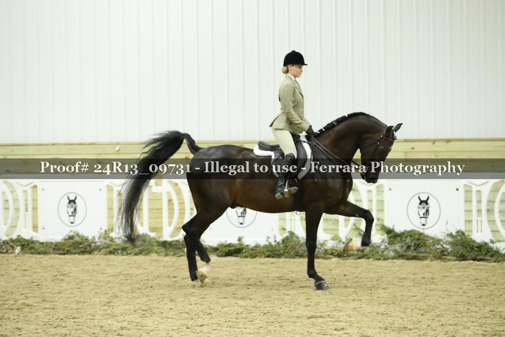 Proof 24R13_09731