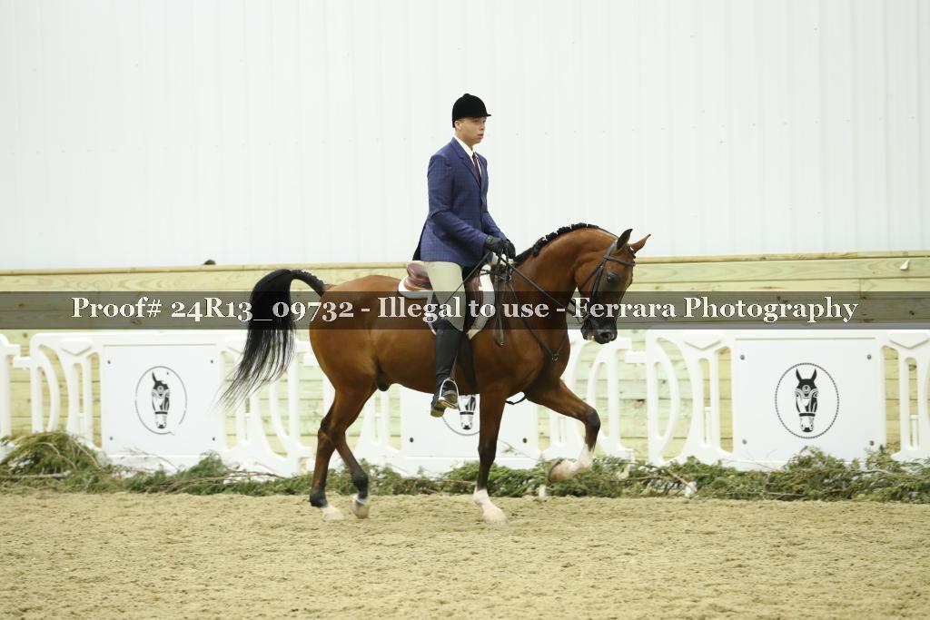 Proof 24R13_09732