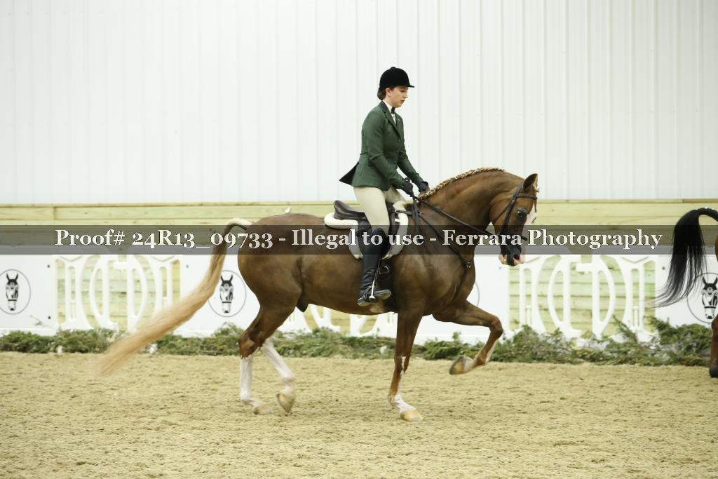 Proof 24R13_09733