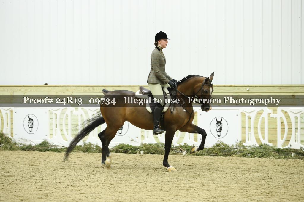 Proof 24R13_09734