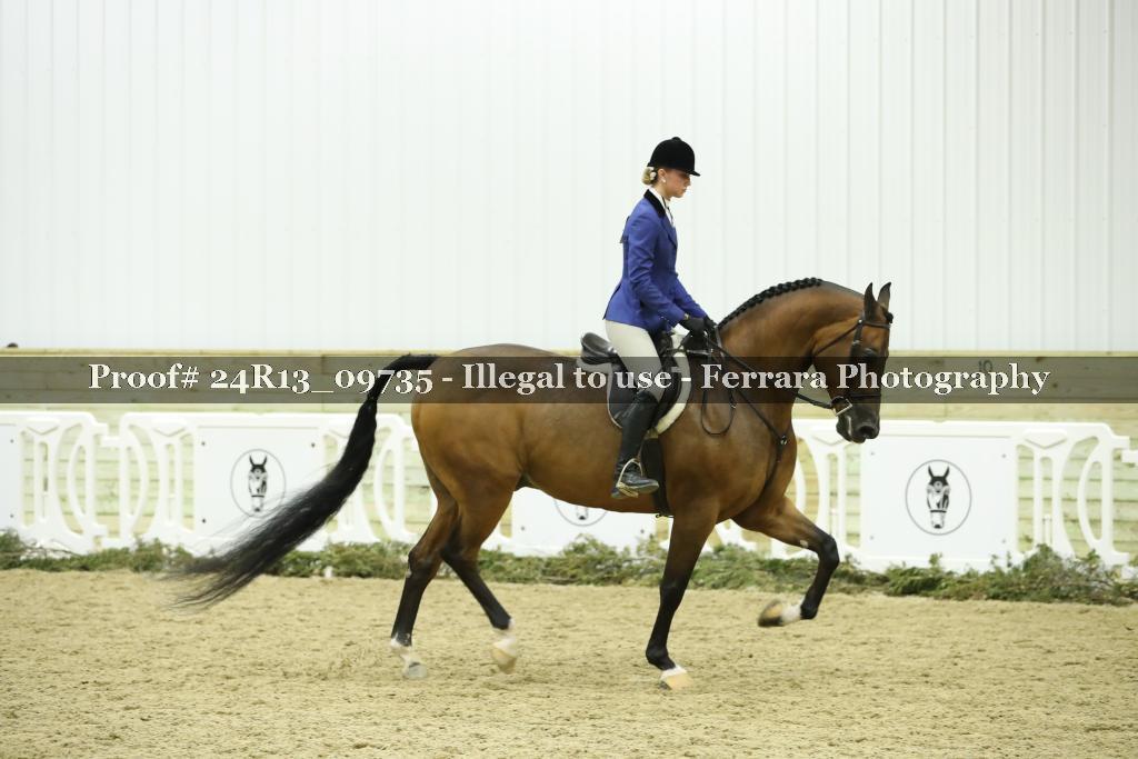 Proof 24R13_09735