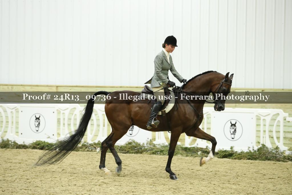 Proof 24R13_09736