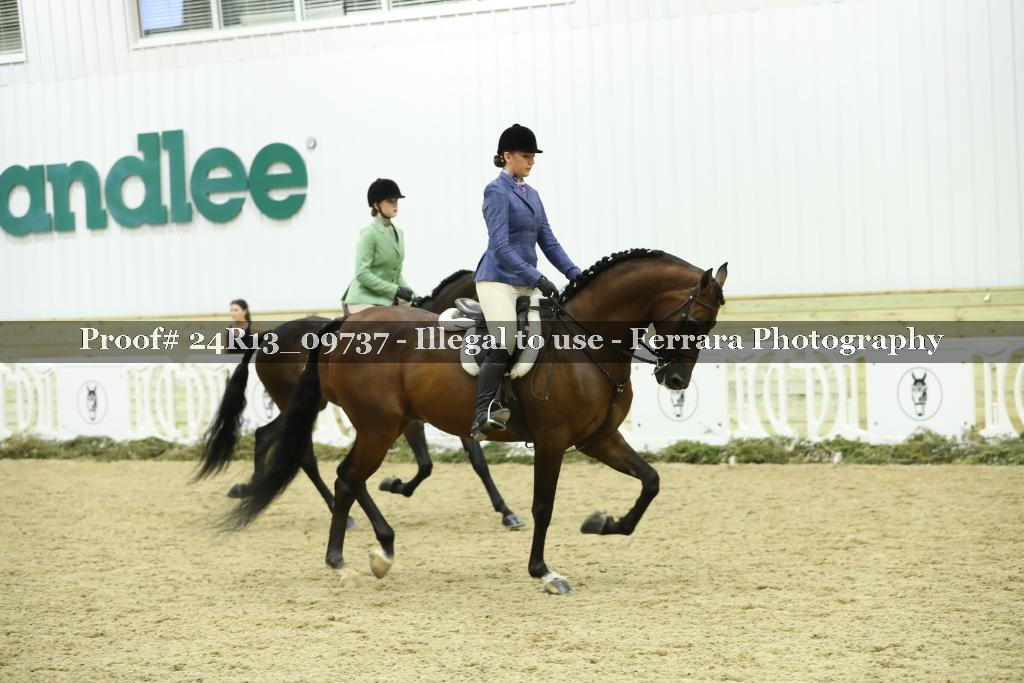 Proof 24R13_09737