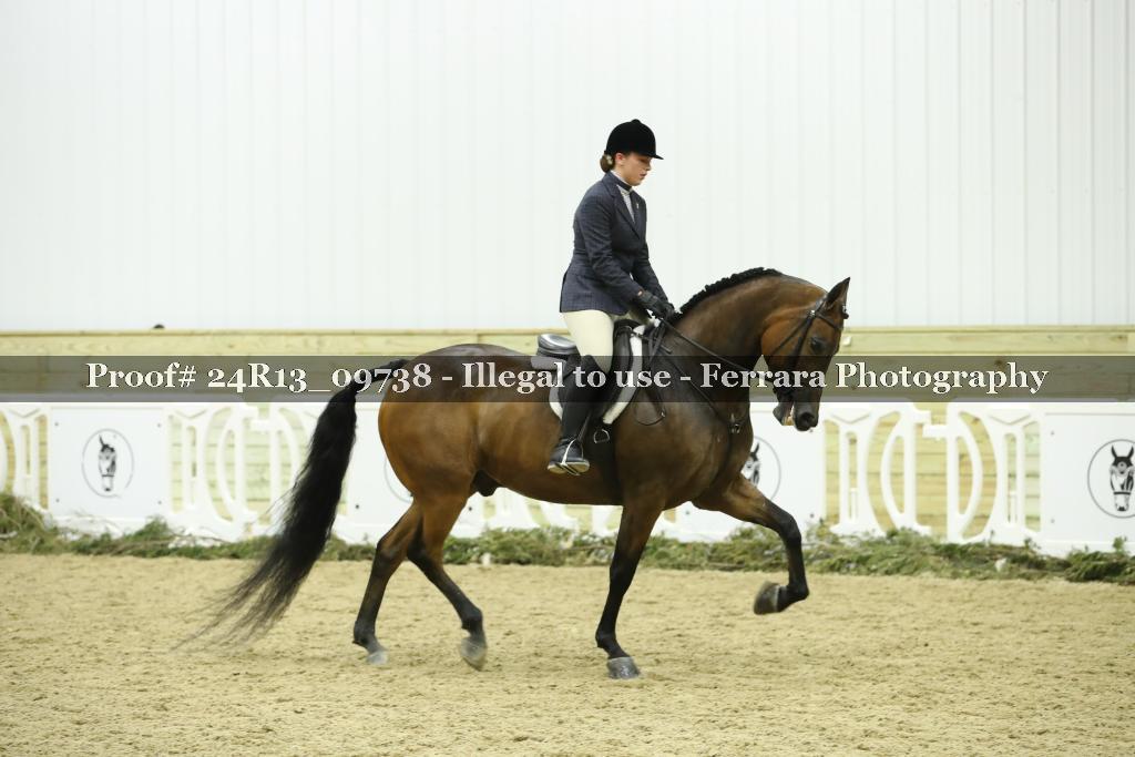 Proof 24R13_09738