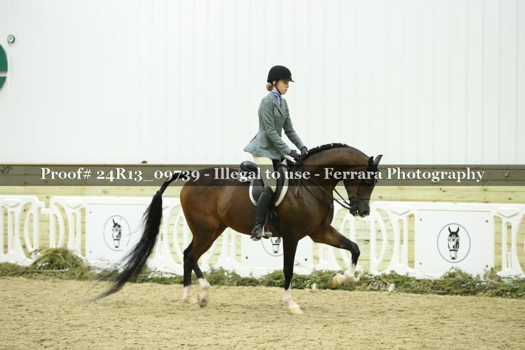 Proof 24R13_09739