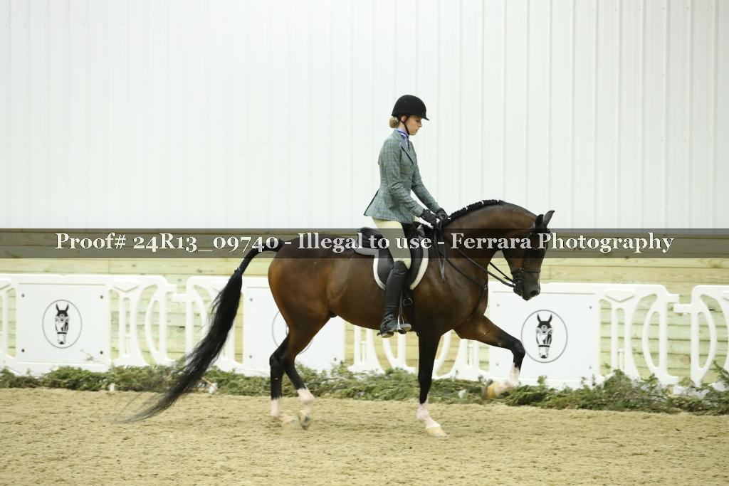 Proof 24R13_09740