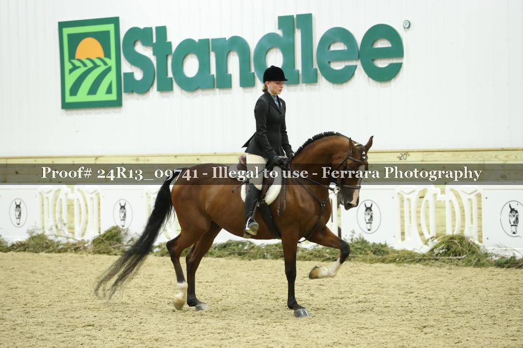 Proof 24R13_09741