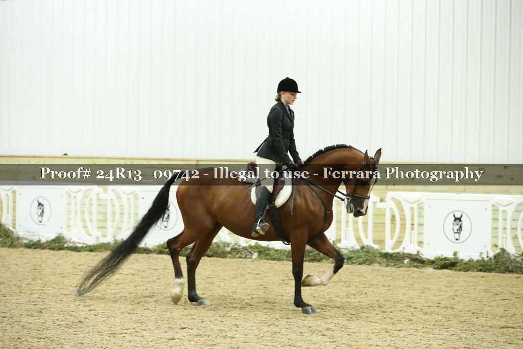 Proof 24R13_09742