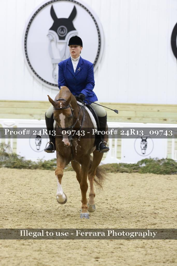 Proof 24R13_09743
