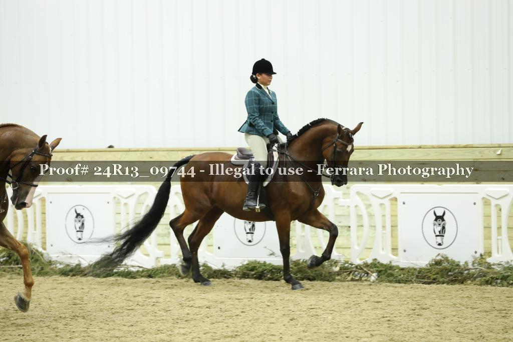 Proof 24R13_09744