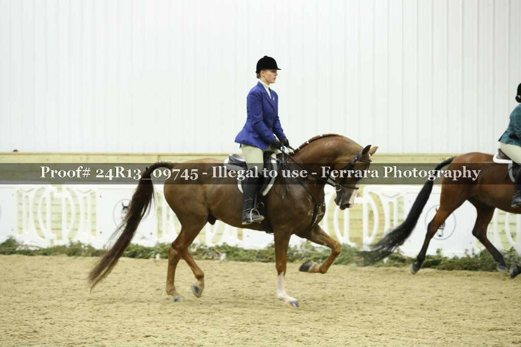 Proof 24R13_09745