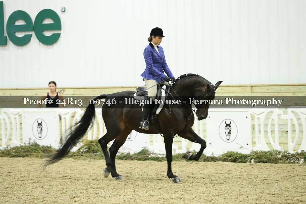 Proof 24R13_09746