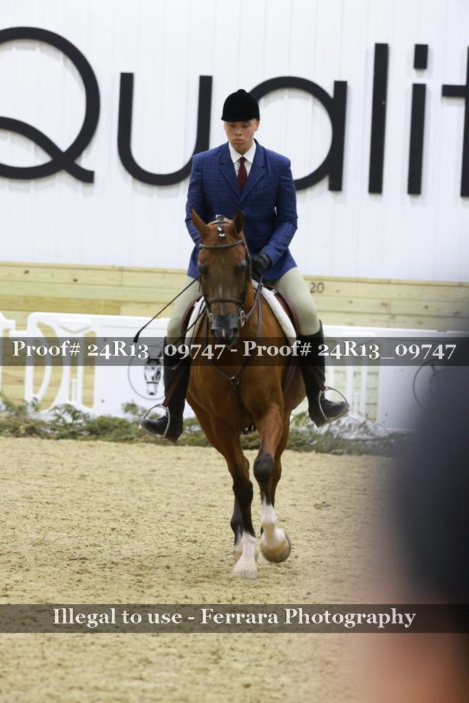 Proof 24R13_09747