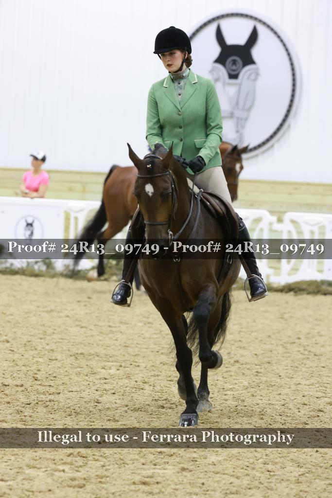 Proof 24R13_09749