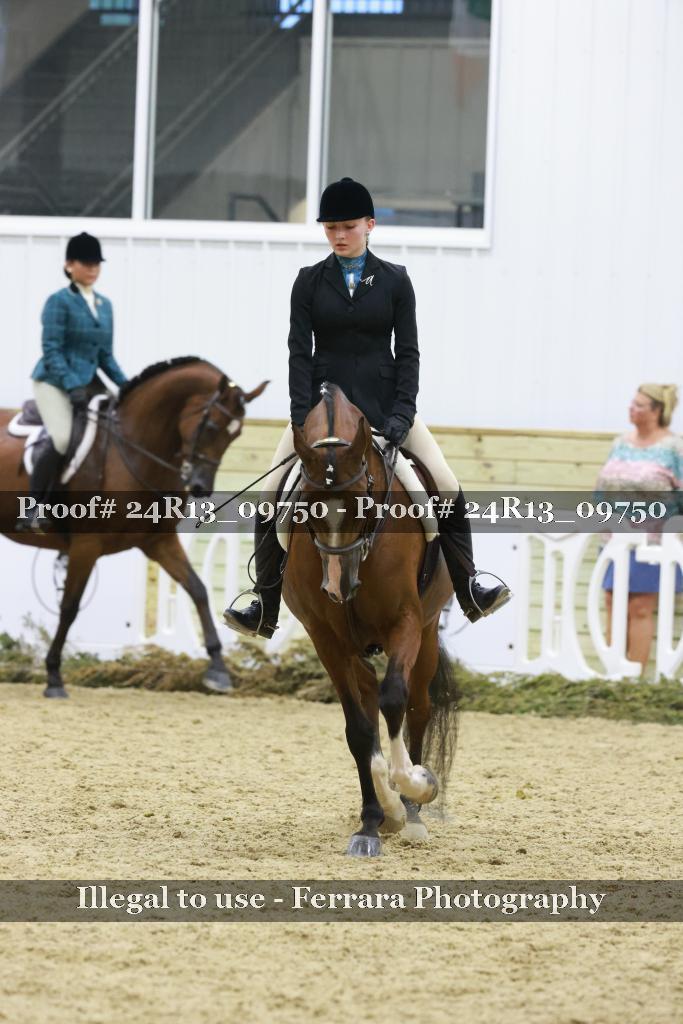 Proof 24R13_09750