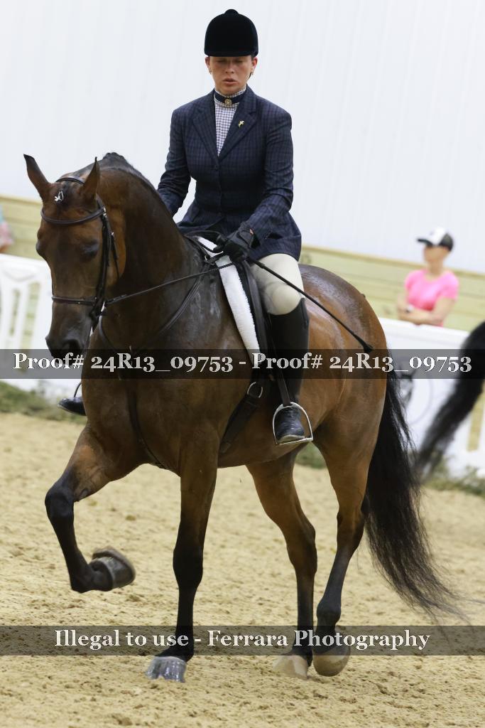 Proof 24R13_09753