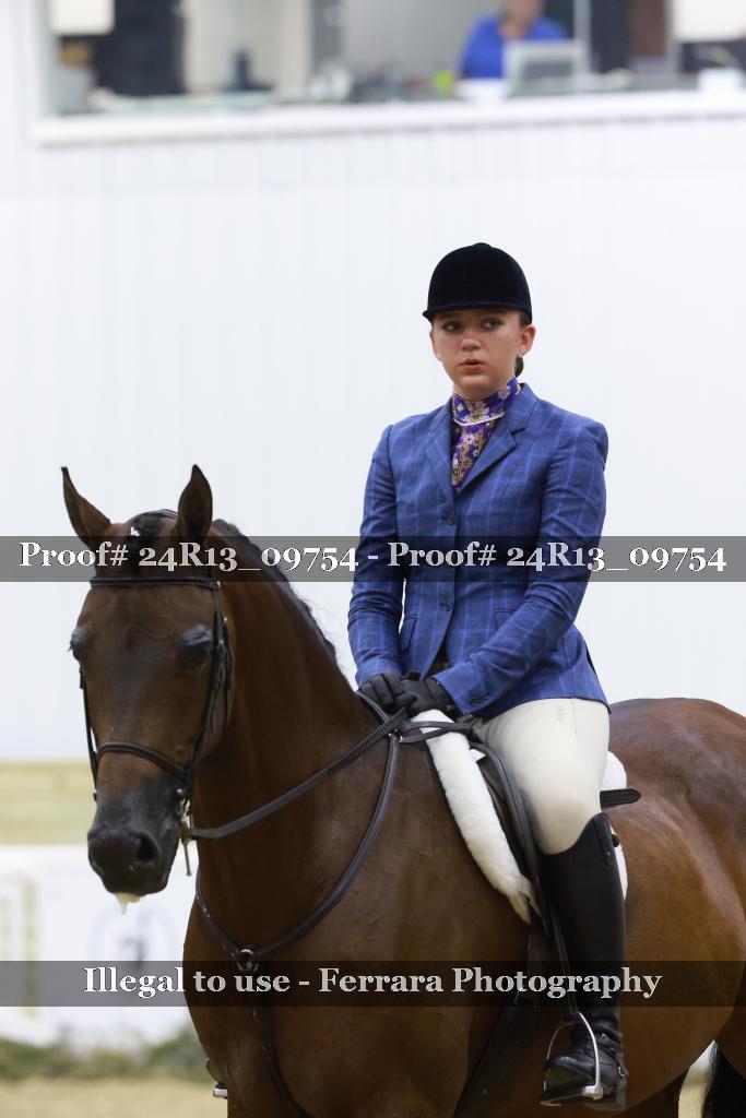 Proof 24R13_09754