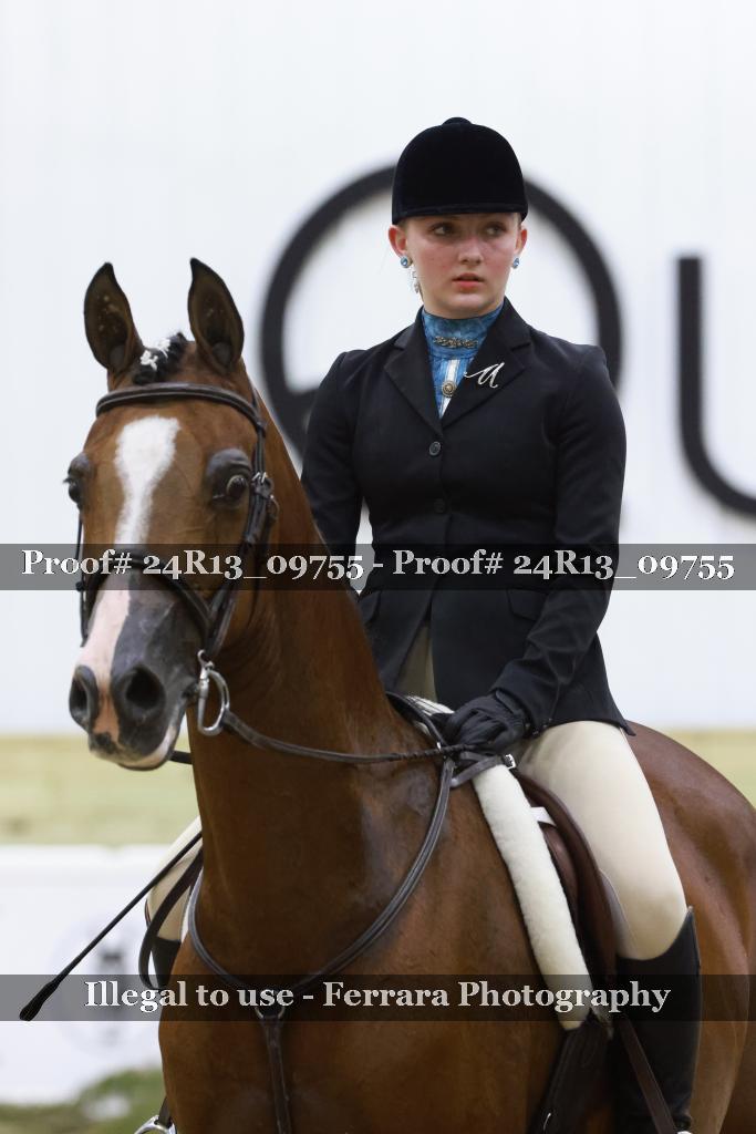 Proof 24R13_09755