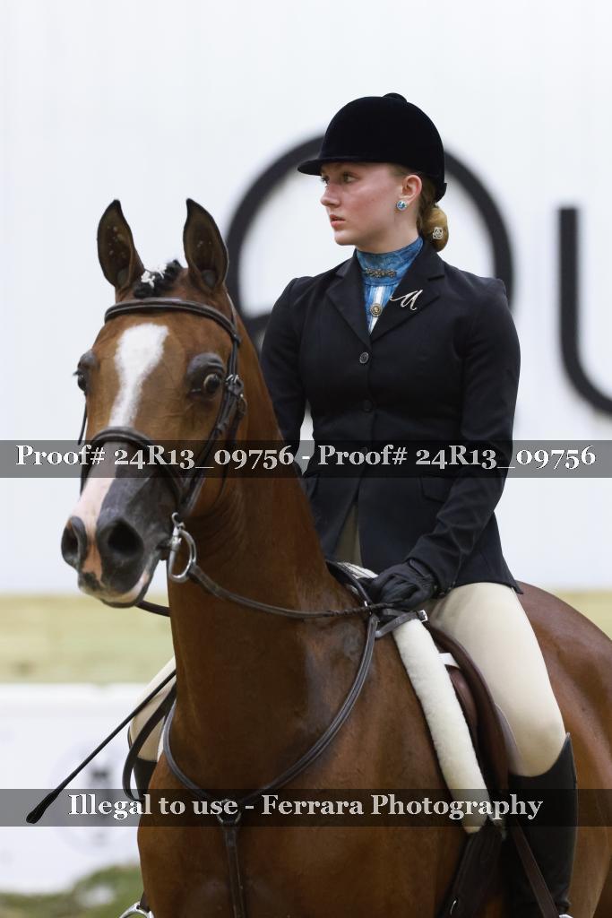 Proof 24R13_09756