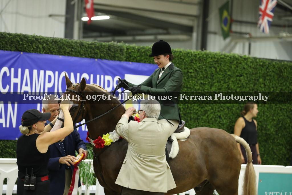 Proof 24R13_09761