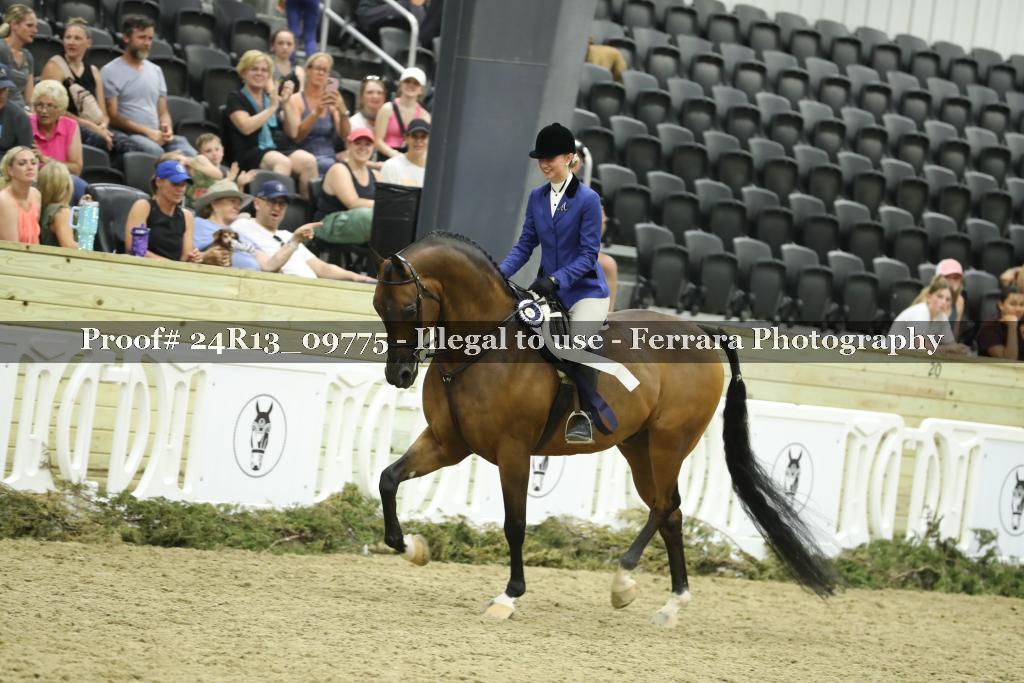 Proof 24R13_09775