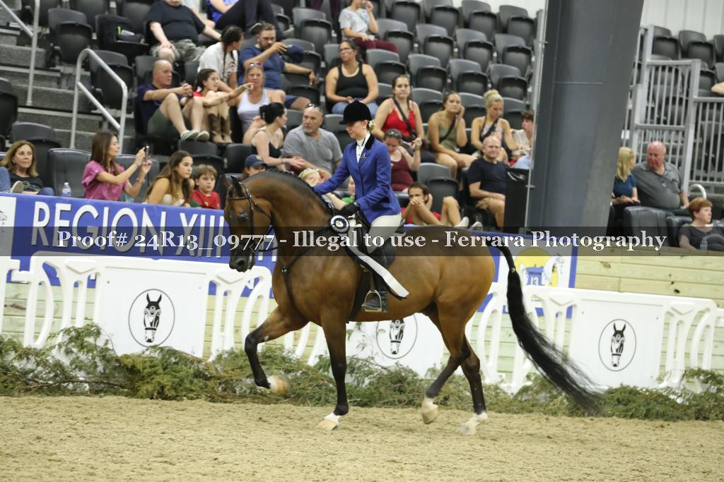 Proof 24R13_09777