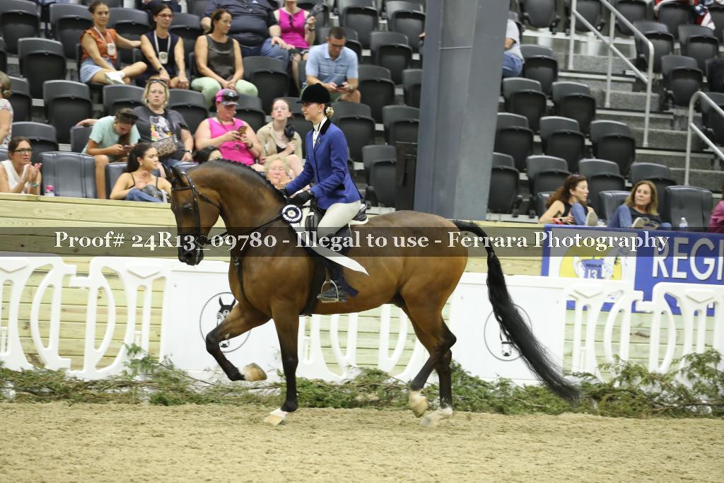 Proof 24R13_09780